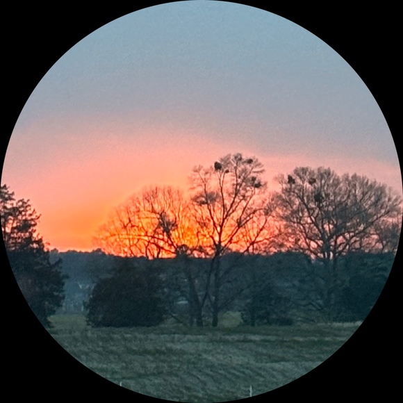 farmlife99